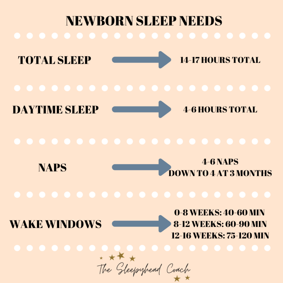 Can I Put My Newborn On A Schedule? | The Sleepyhead Coach